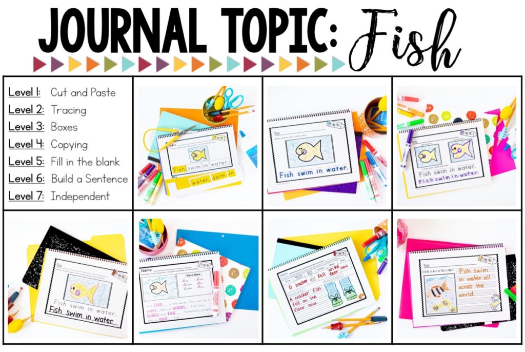leveled journal samples about fish