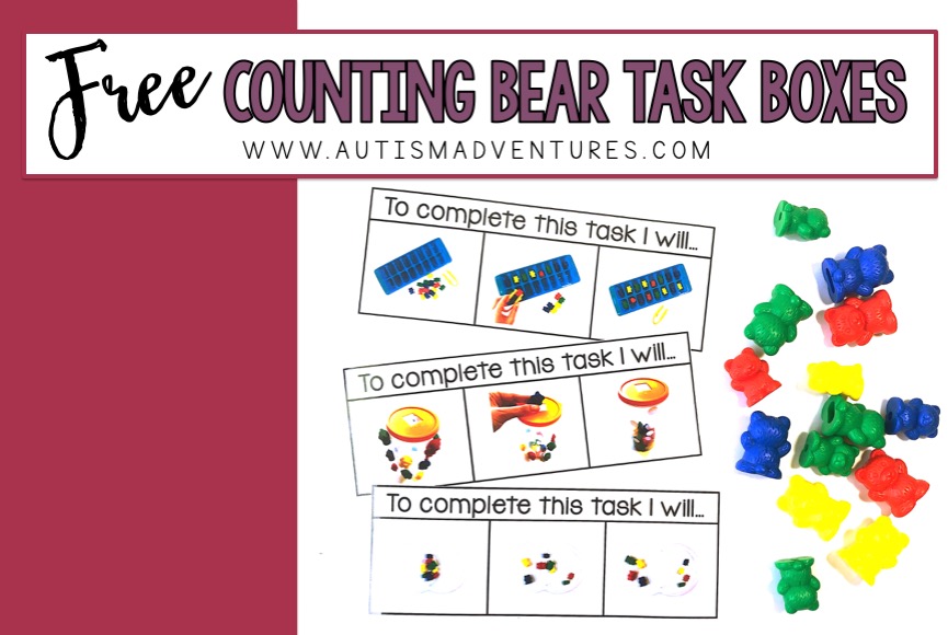 counting bear task box sample