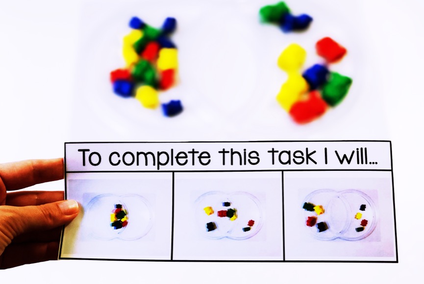 counting bear task box sample