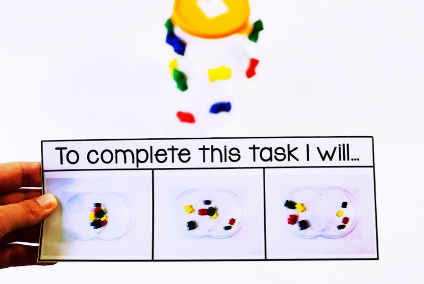 counting bear task box sample