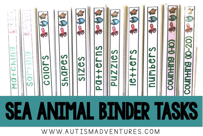 July binder task preview for a teacch program