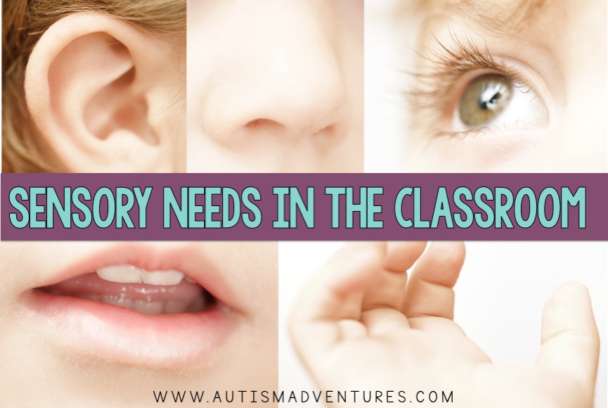 sensory needs visual for the classroom.