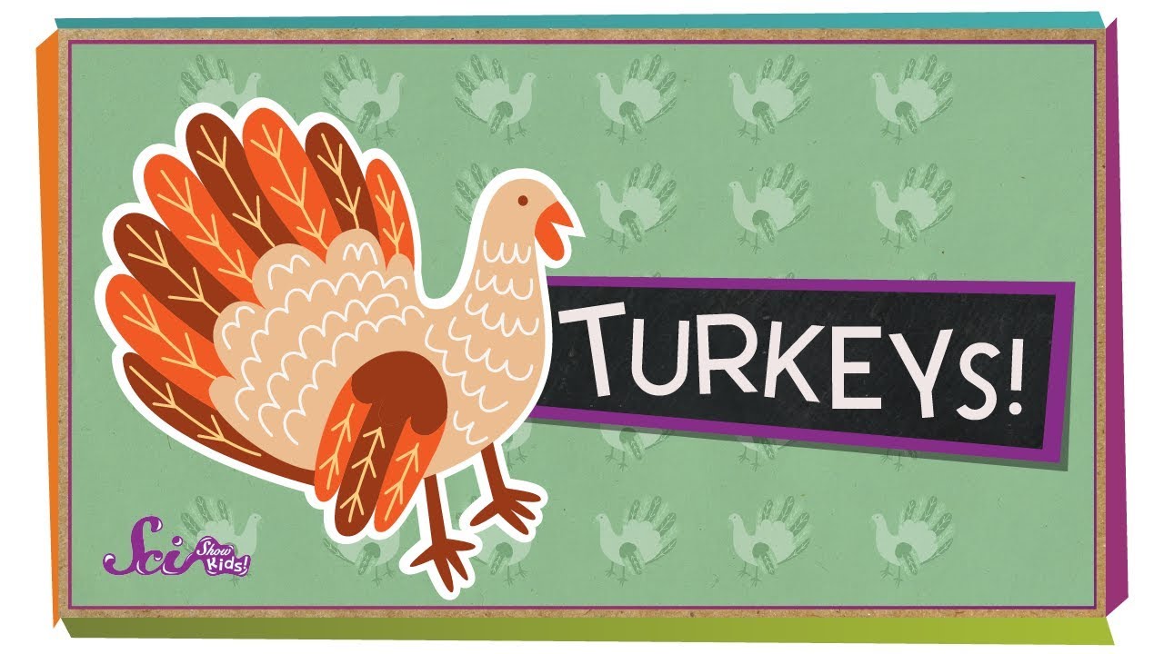 Fun Facts About Turkeys! | Fall Science | Holiday Science | SciShow Kids