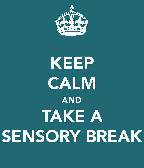 “How To Set Up A Special Education Program”- Sensory Diets in the Classroom