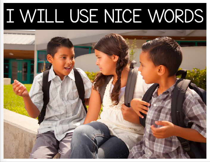 I Will Use Nice Words: Behavior Basics