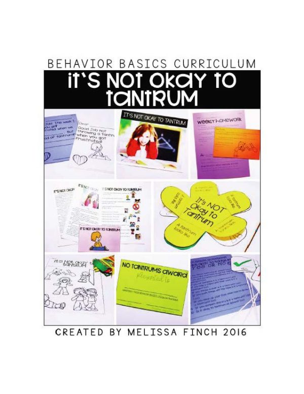 UNIT 3 of the Behavior Basics Program for Special Education - Image 9