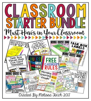 Classroom Starter Kit- Discounted Bundle