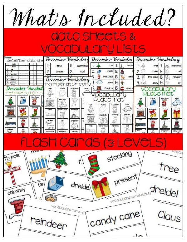 December Vocabulary Unit- for Student's with Special Needs - Image 5
