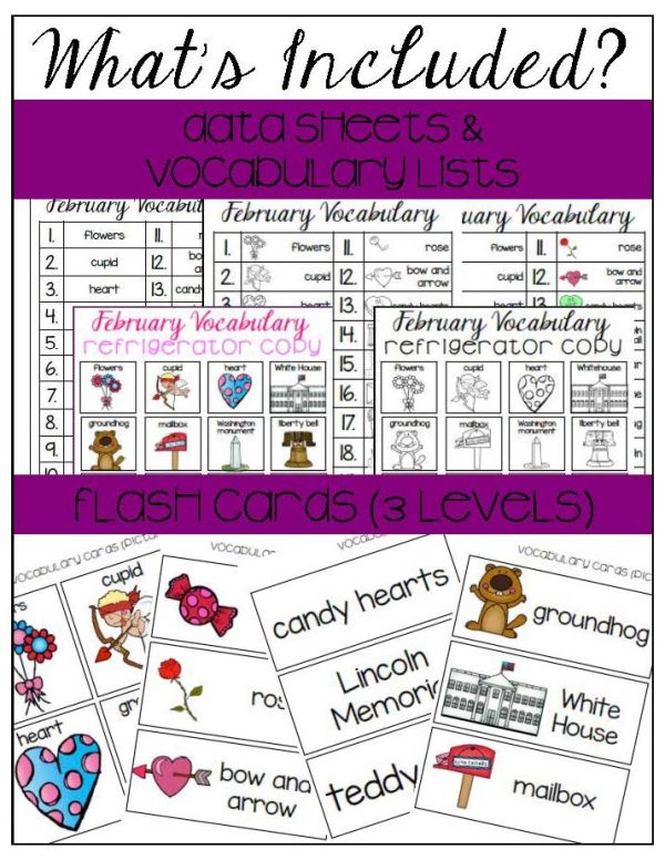 February Vocabulary Unit- for Student's with Special Needs - Image 5