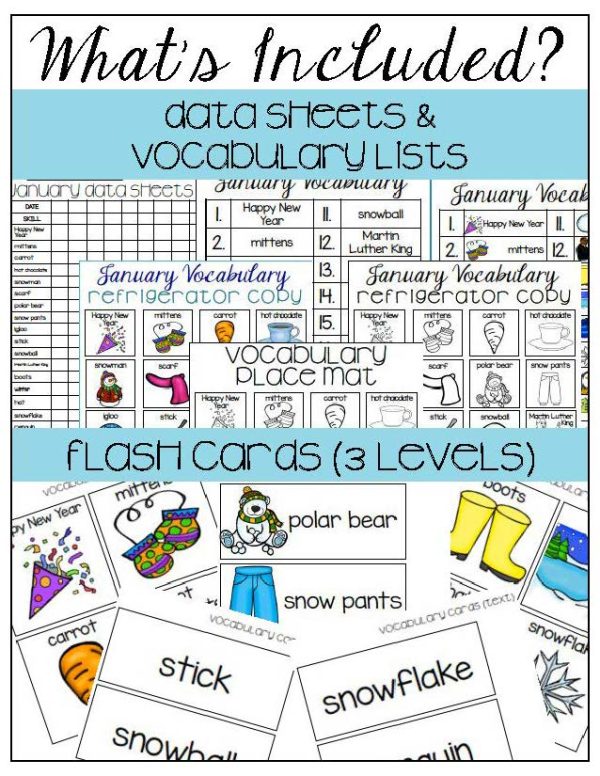 January Vocabulary Unit- for Student's with Special Needs - Image 5