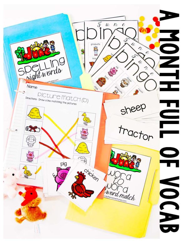 June Vocabulary Unit- for Students with Special Needs - Image 2