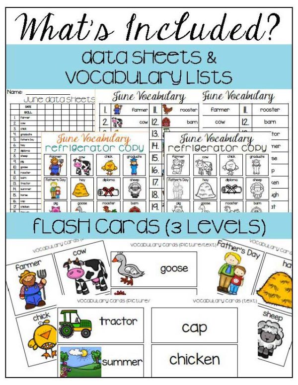 June Vocabulary Unit- for Students with Special Needs - Image 4