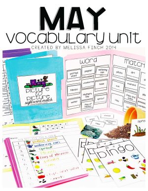 May Vocabulary Unit- for Students with Special Needs