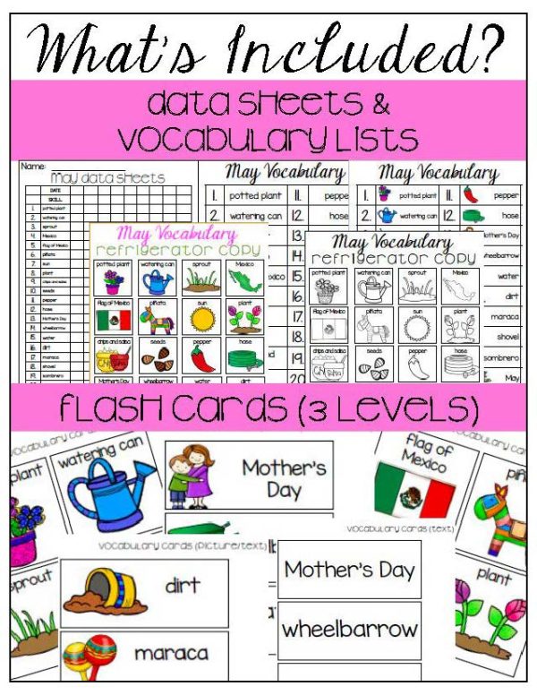 May Vocabulary Unit- for Students with Special Needs - Image 4