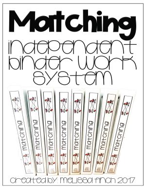 Matching- Binder Basics Work System