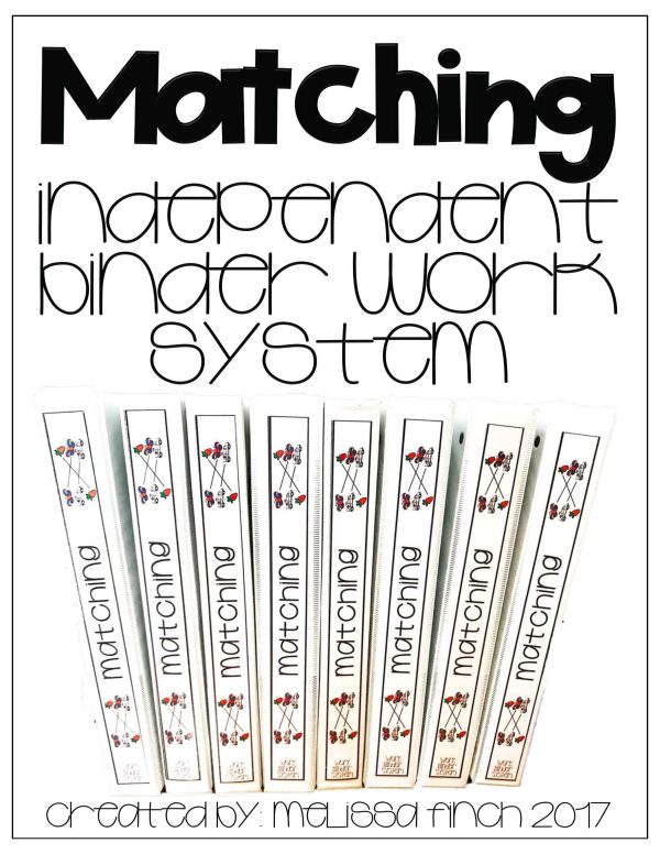 Matching- Binder Basics Work System