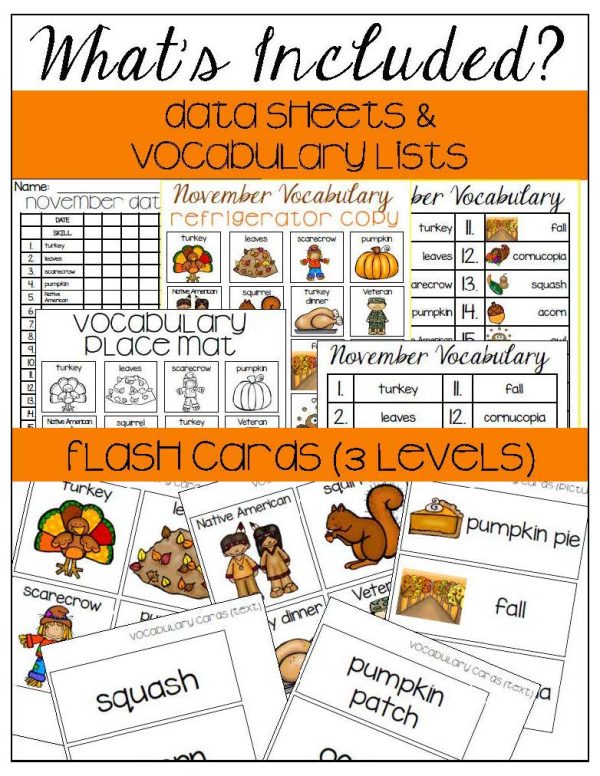 November Vocabulary Unit- for Student's with Special Needs - Image 5