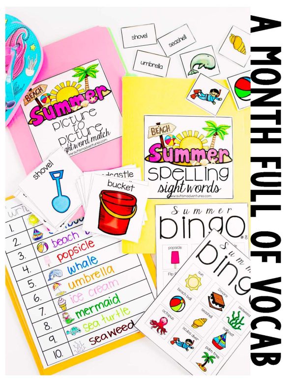 Summer Vocabulary Unit- For Special Education - Image 2