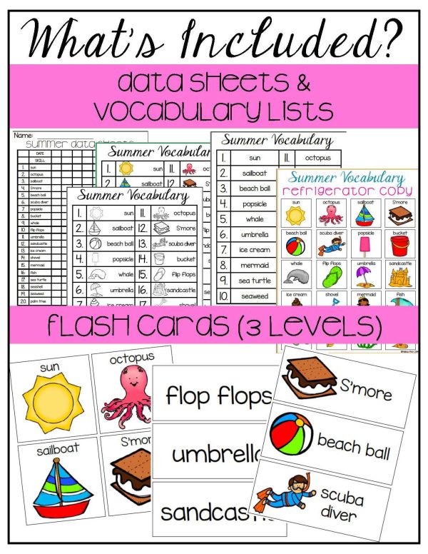 Summer Vocabulary Unit- For Special Education - Image 4