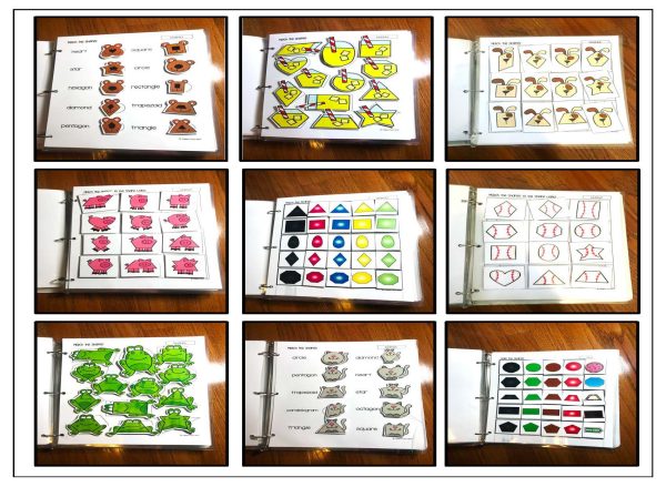 Shapes- Binder Basics Work System - Image 3