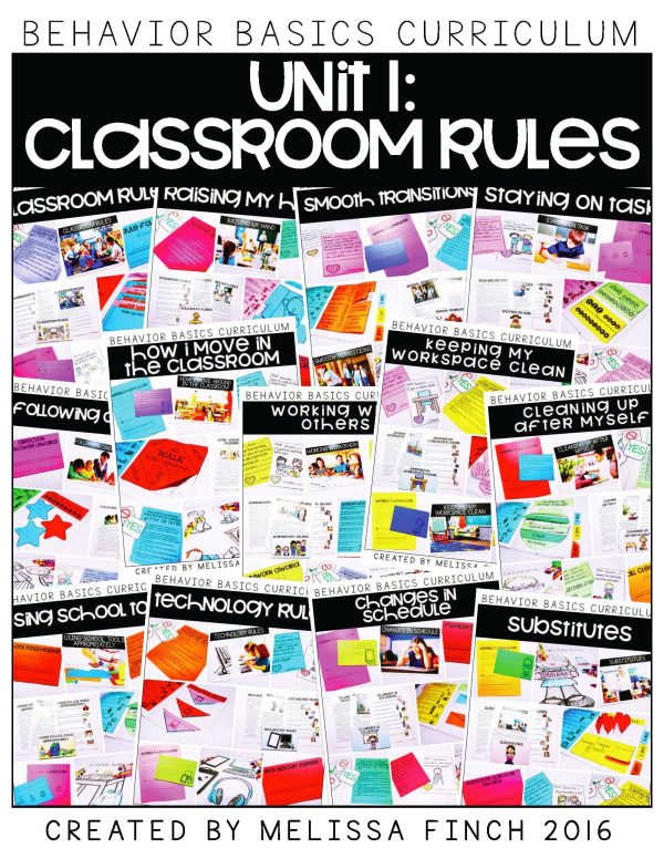 Behavior Basics Curriculum (Social Emotional Learning) - Image 7