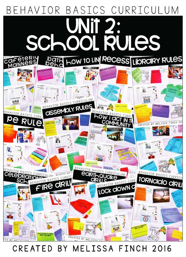 Behavior Basics Curriculum (Social Emotional Learning) - Image 8