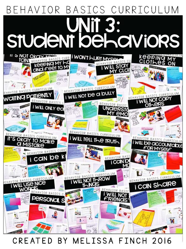 Behavior Basics Curriculum (Social Emotional Learning) - Image 9
