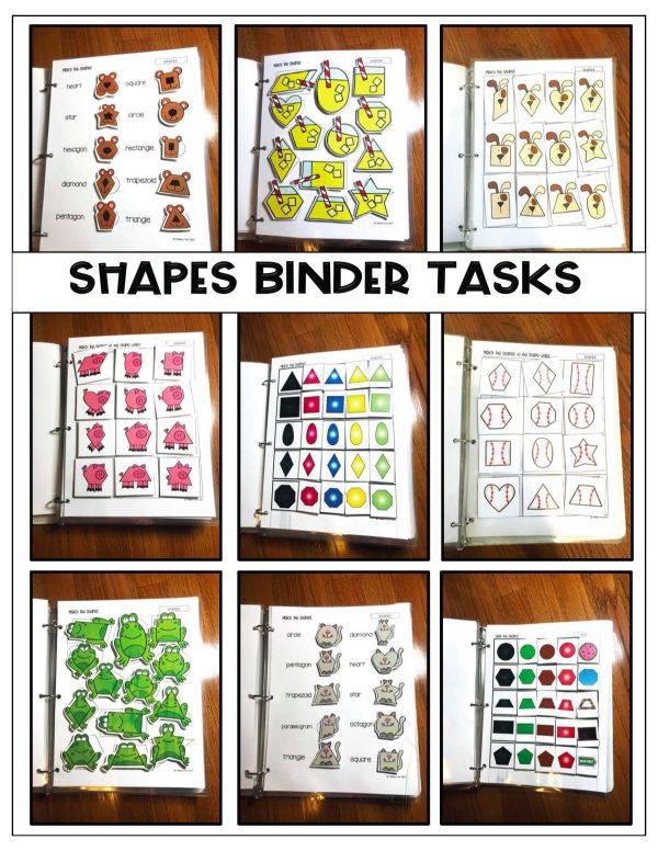 Binder Bundle- Binder Basics Work System - Image 7