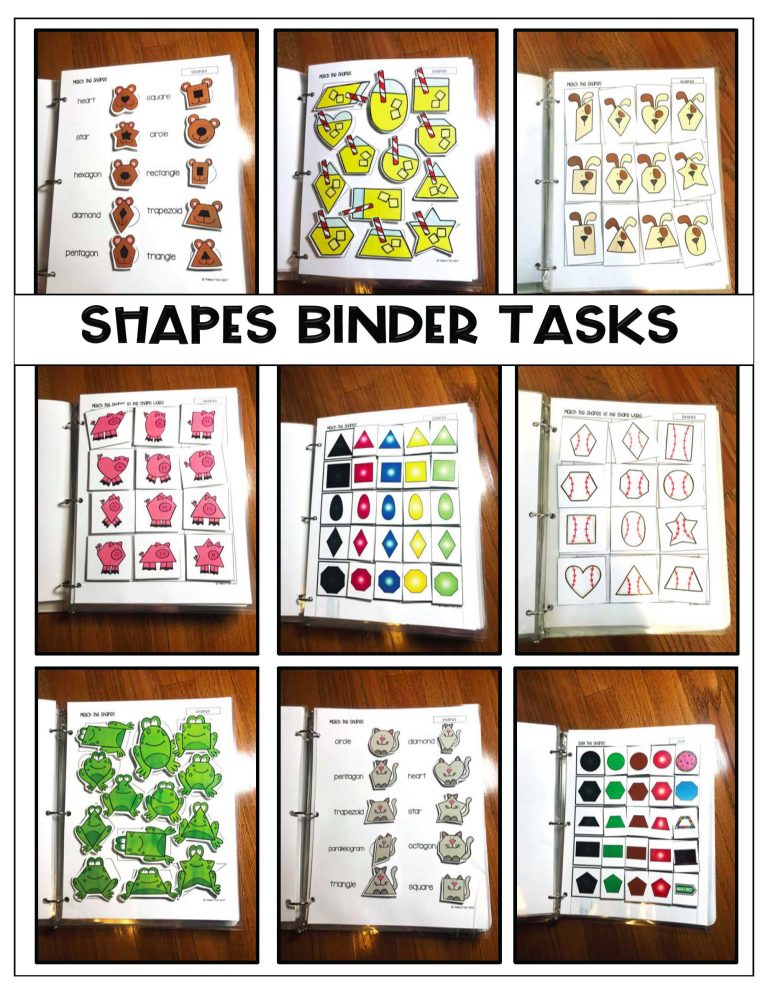 Binder Bundle- Binder Basics Work System » Autism Adventures