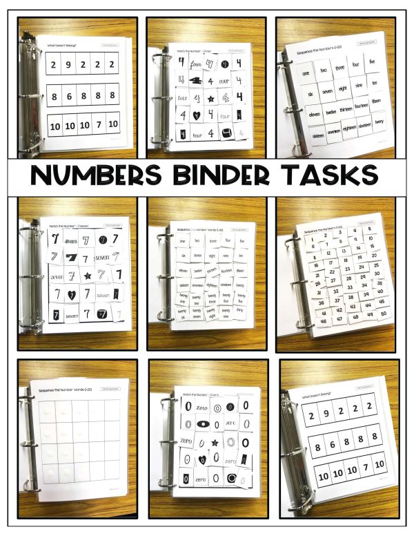 Binder Bundle- Binder Basics Work System - Image 12