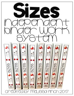 Sizes- Binder Basics Work System