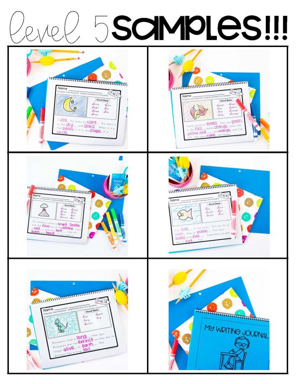 Differentiated Writing Curriculum- Level 5 (Fill In The blanks) - Image 2