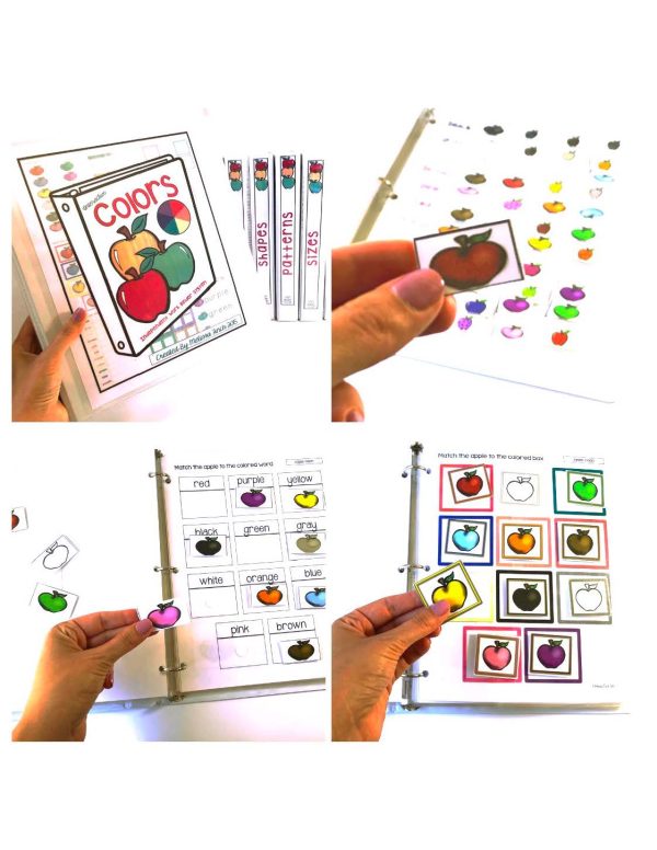 Monthly Themed Binder Sets (DISCOUNTED BUNDLE) - Binder Basics Work System - Image 15