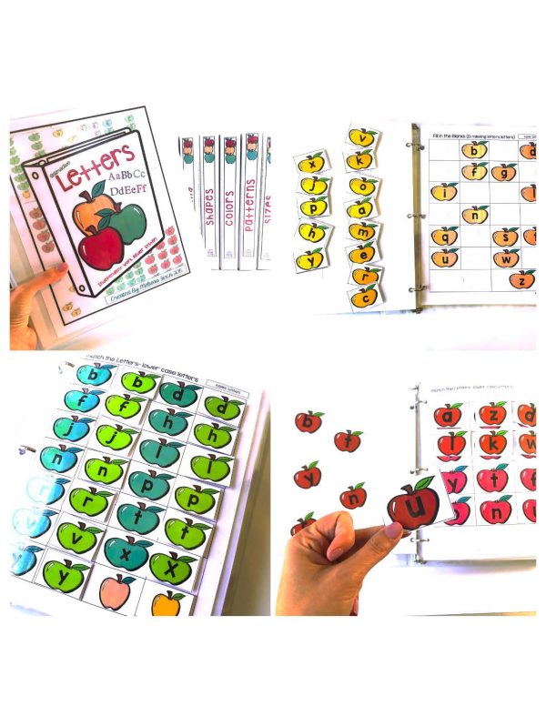 Monthly Themed Binder Sets (DISCOUNTED BUNDLE) - Binder Basics Work System - Image 19