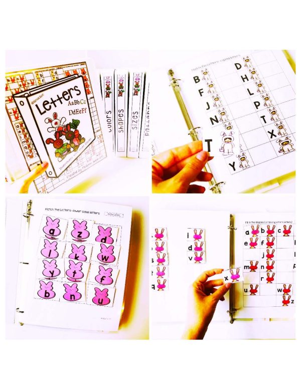Bunny Binder- Binder Basics Work System - Image 14