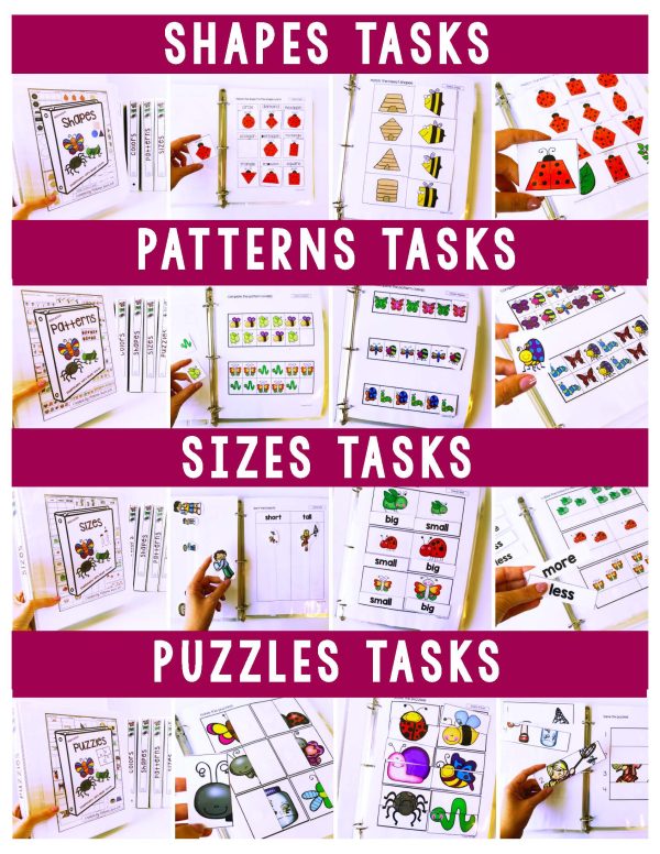 Insect Binder- Binder Basics Work System - Image 3