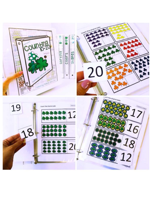Shamrocks Binder- Binder Basics Work System - Image 17