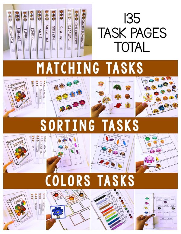 Turkeys Binder- Binder Basics Work System - Image 2