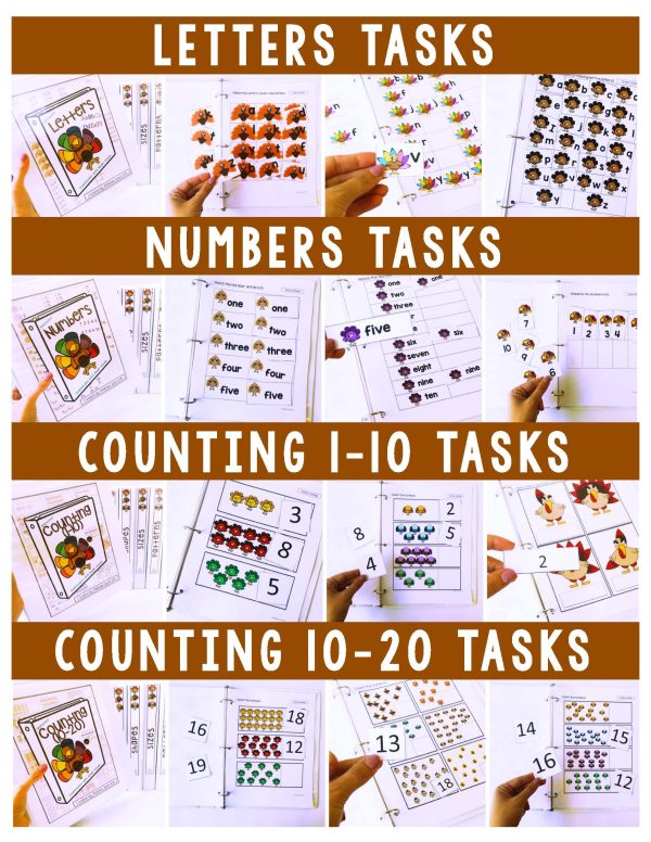Turkeys Binder- Binder Basics Work System - Image 4