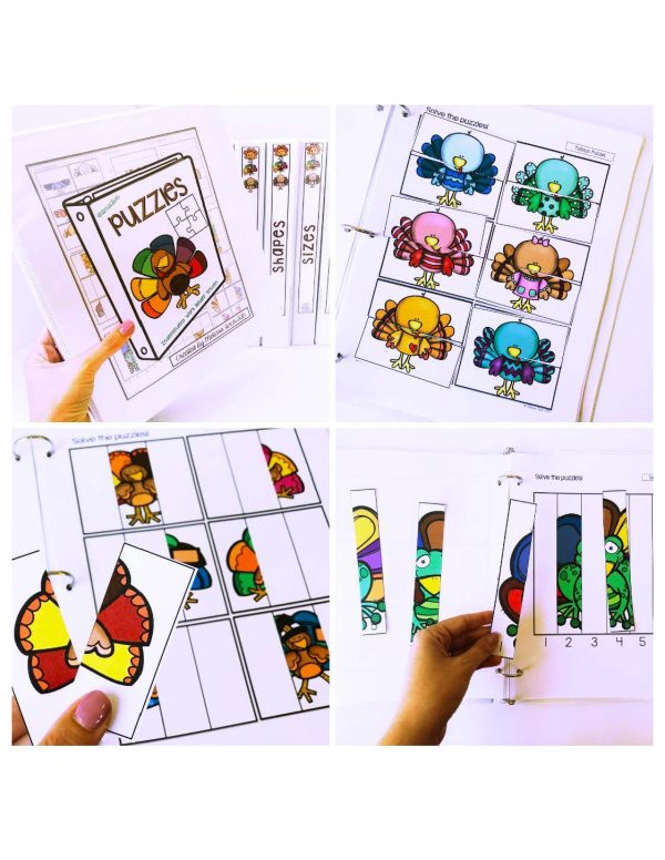 Turkeys Binder- Binder Basics Work System - Image 13