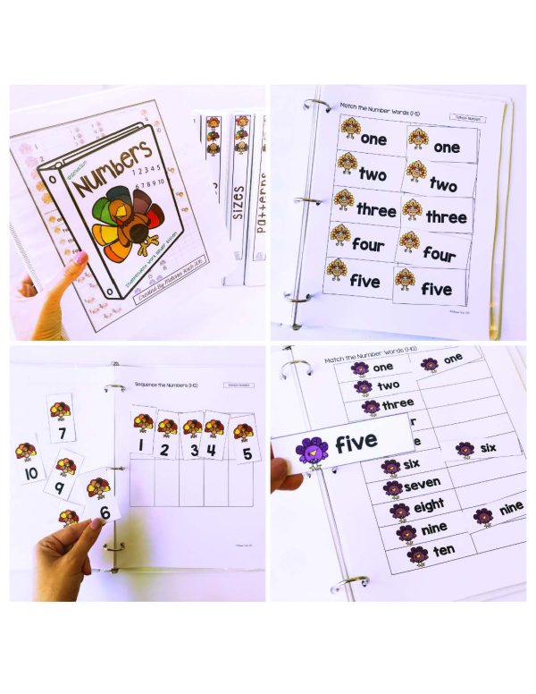 Turkeys Binder- Binder Basics Work System - Image 14