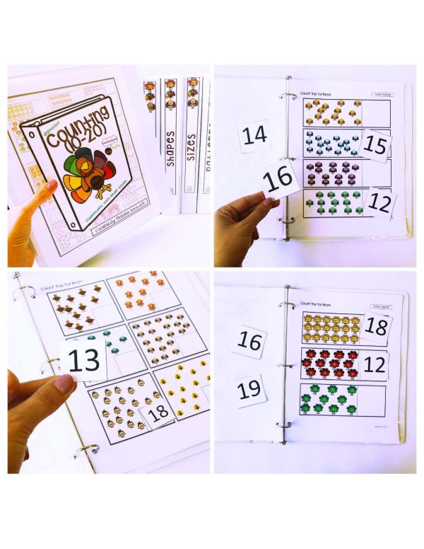 Turkeys Binder- Binder Basics Work System - Image 17