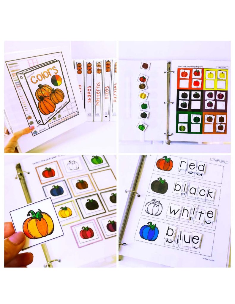 Pumpkins Binder- Binder Basics Work System » Autism Adventures