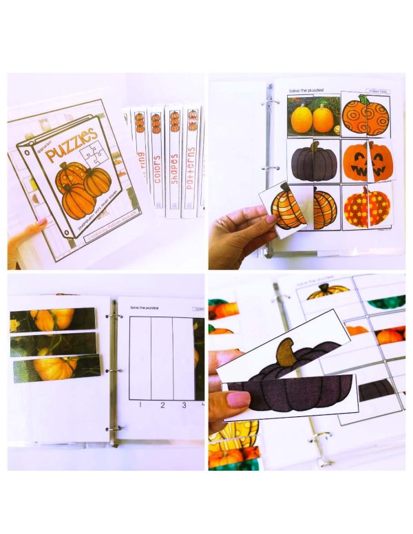 Pumpkins Binder- Binder Basics Work System - Image 13