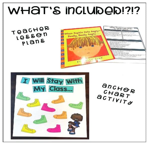 When Sophie Get's Angry- Behavior Basics Book Club - Image 3